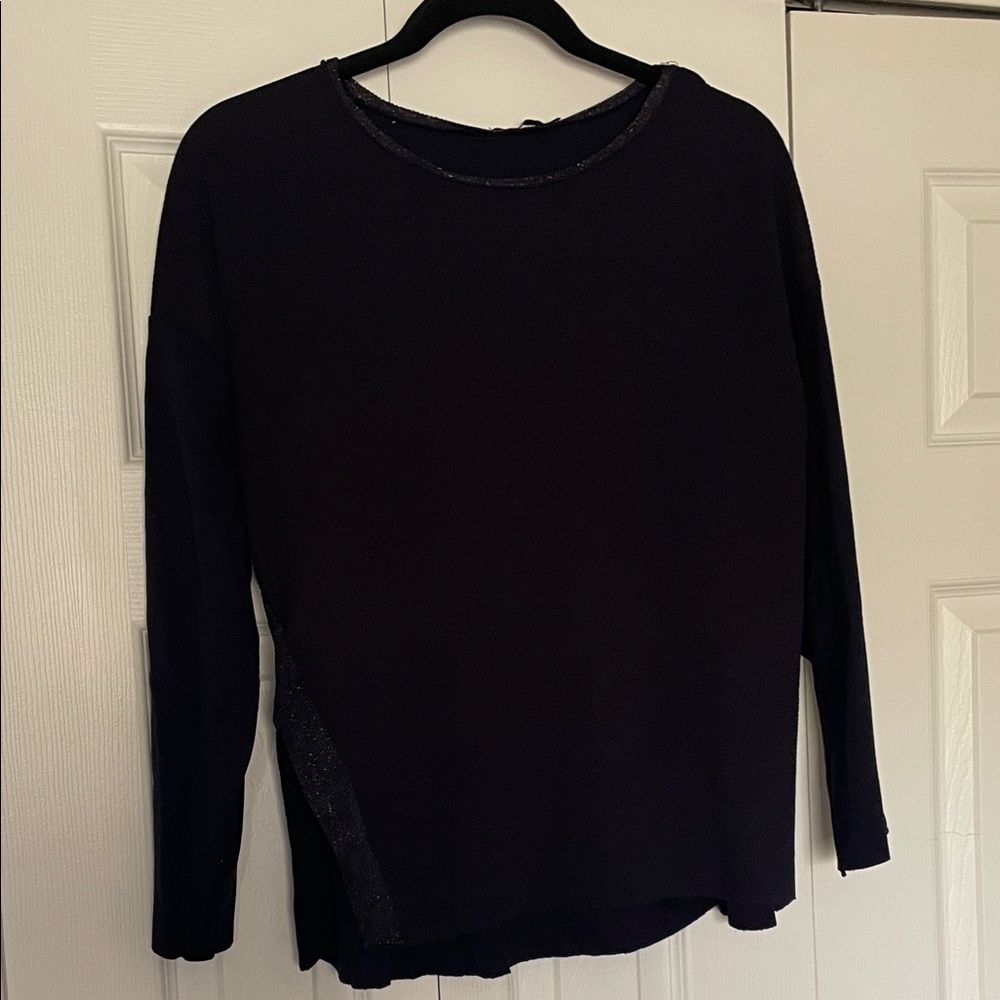 Zara Plum color Long Sleeve Crewneck Top with Subtle Sparkle Trim